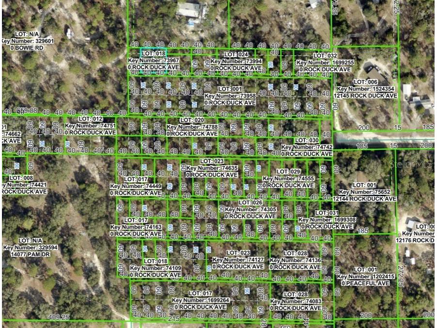 0 Rock Duck Avenue Weeki Wachee FL 34614 W7880980 image2