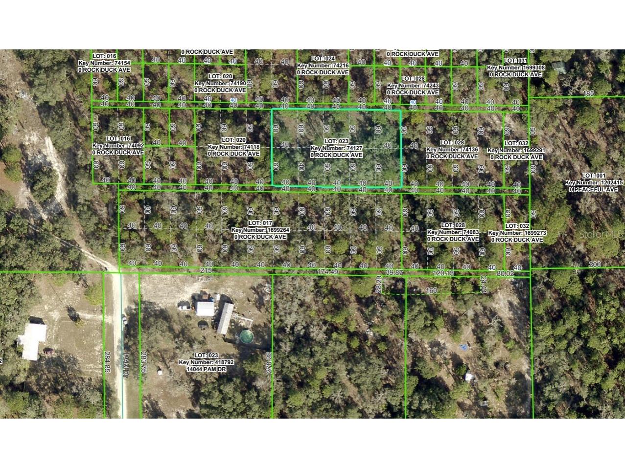 0 Rock Duck Avenue Weeki Wachee FL 34614 W7880980 image3