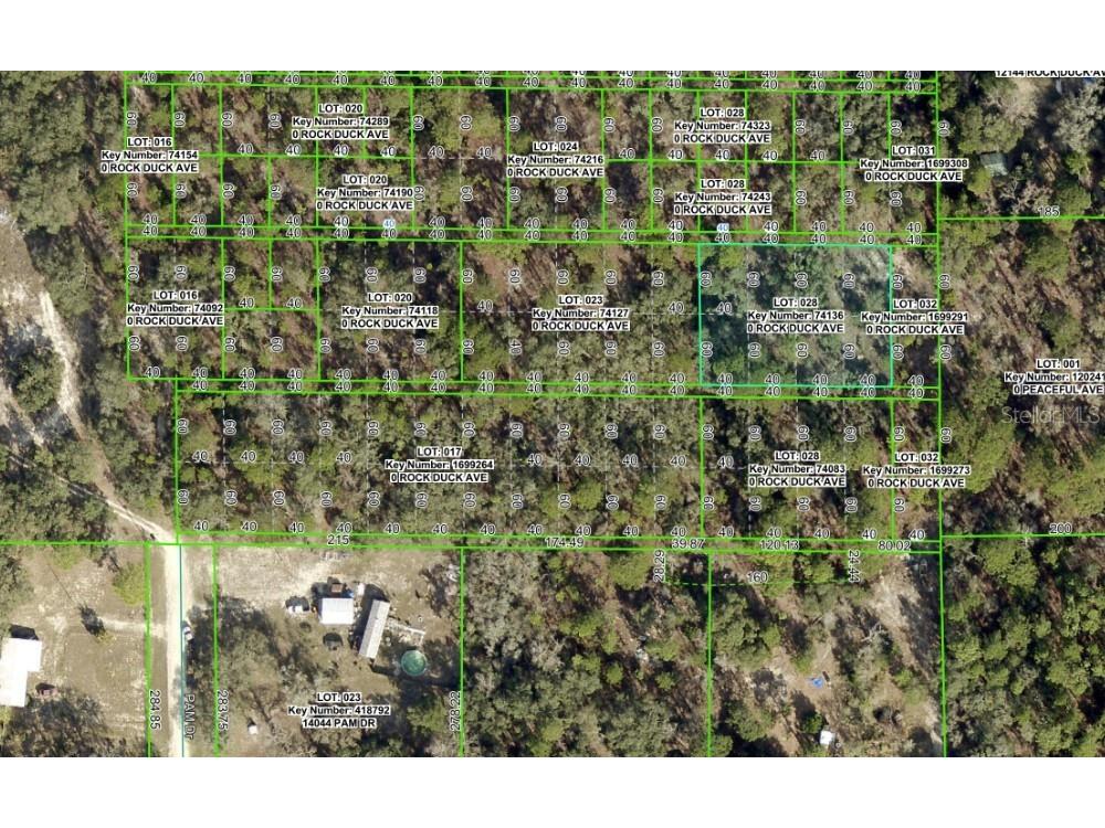 0 Rock Duck Avenue Weeki Wachee FL 34614 W7880980 image4