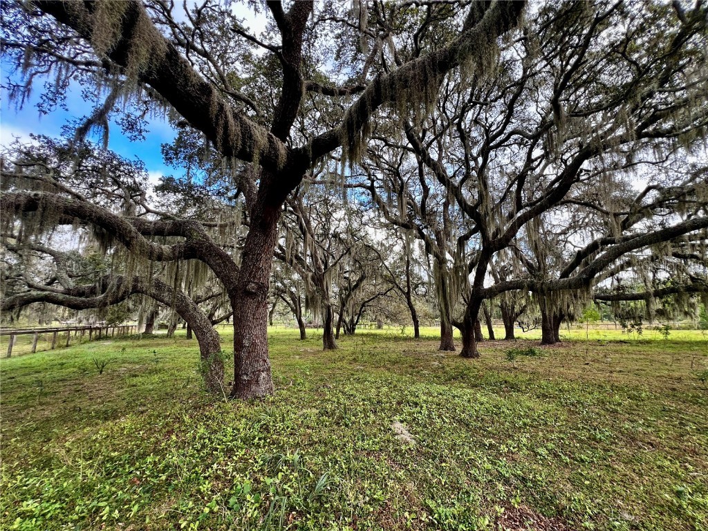 0 Rolling Acres Road Fruitland Park FL 34731 G5103913 image15