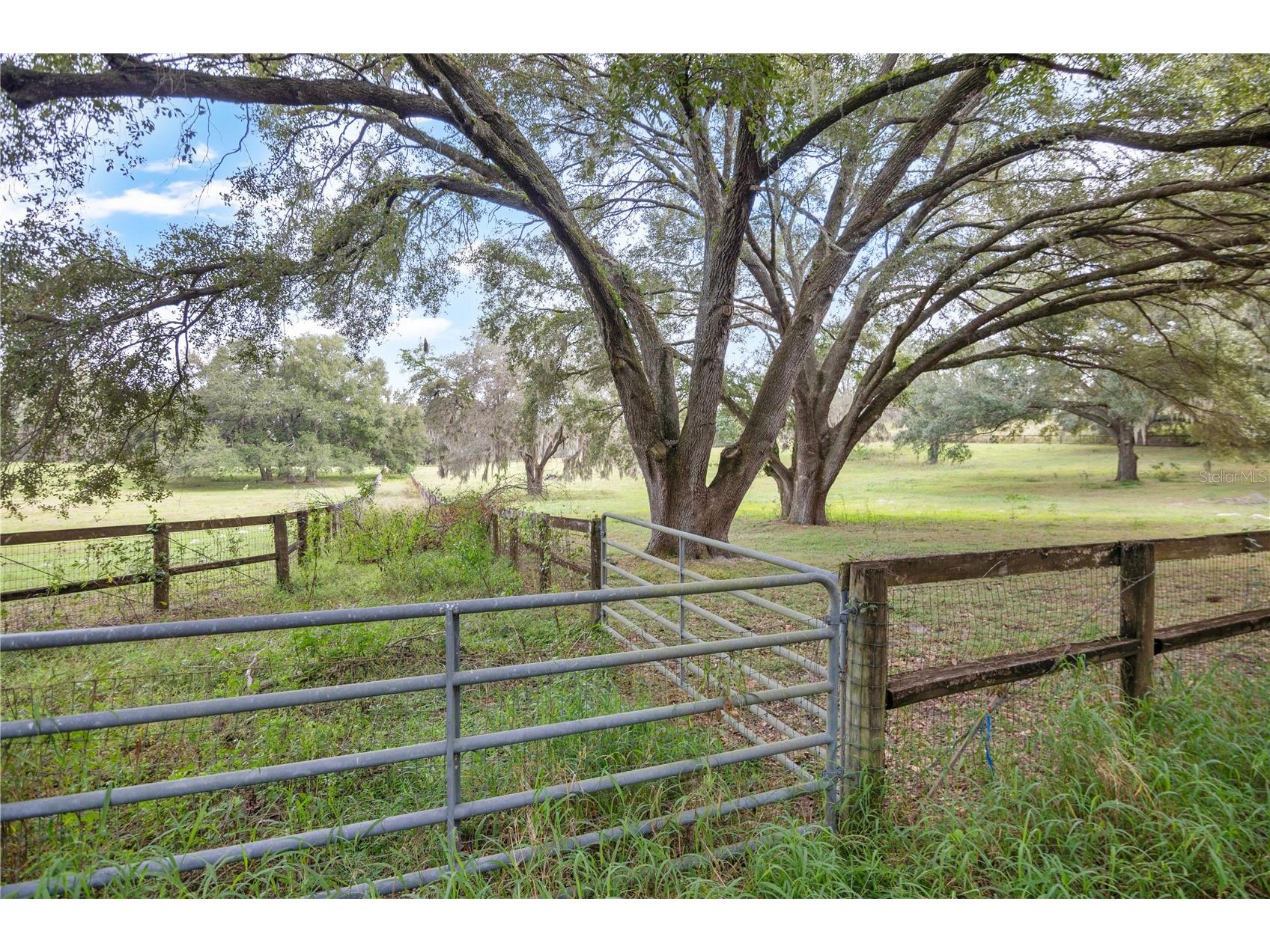 0 Rolling Acres Road Fruitland Park FL 34731 G5103913 image28