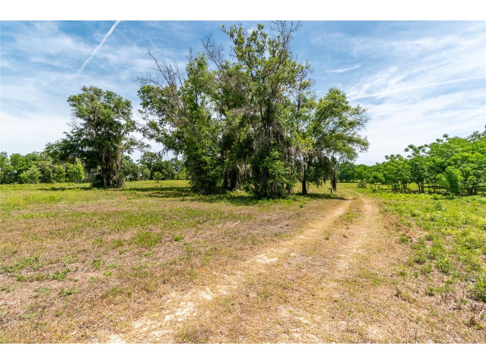 0 Rolling Acres Road Lady Lake FL 32159 OM723851 image4