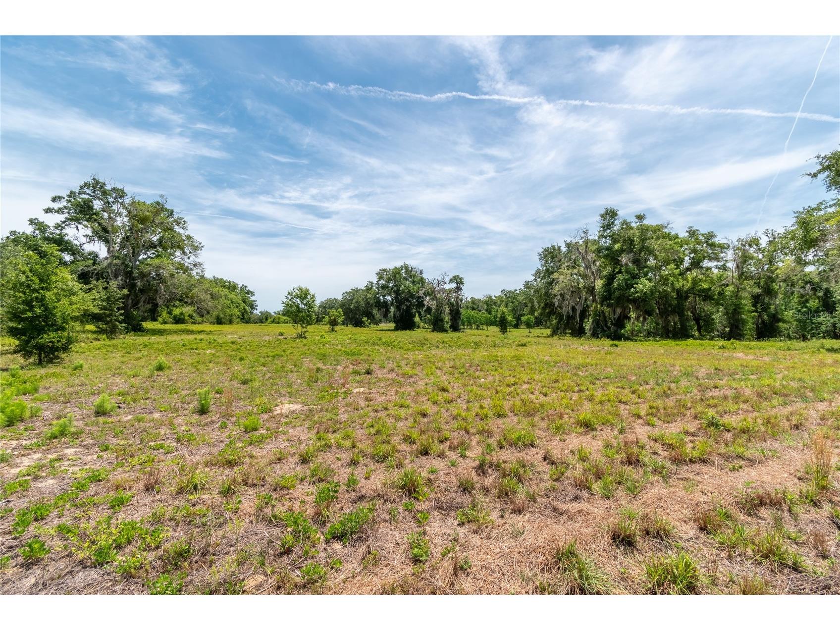 0 Rolling Acres Road Lady Lake FL 32159 OM723851 image6