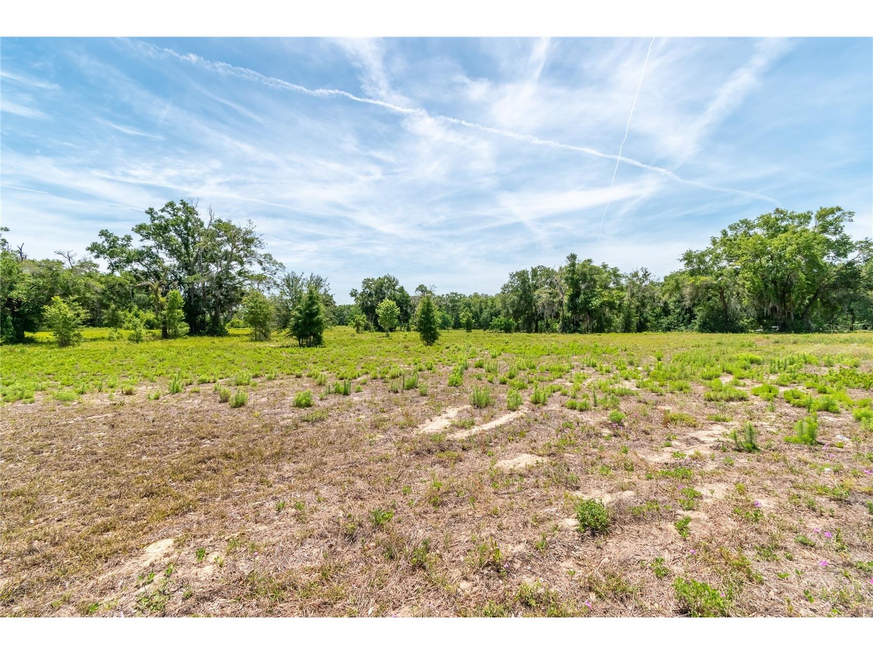 0 Rolling Acres Road Lady Lake FL 32159 OM723851 image7