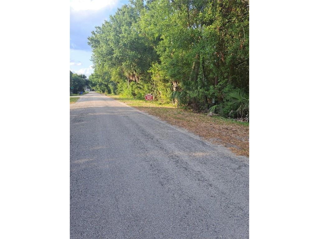 0 Roosevelt Avenue Gibsonton FL 33534 TB8305368 image1