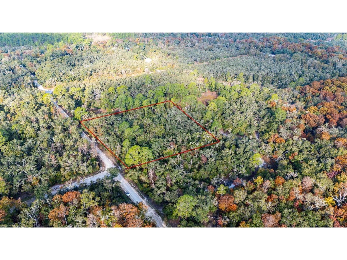 0 Rose Bloom Lot 5 Avenue Webster FL 33597 TB8450293 image1