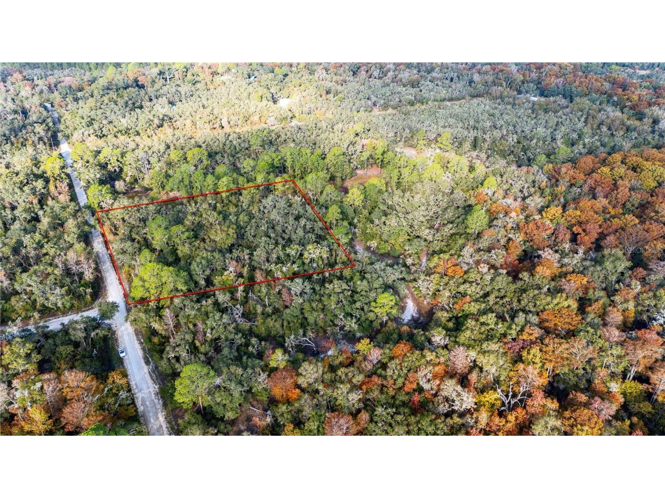 0 Rose Bloom Lot 5 Avenue Webster FL 33597 TB8450293 image10