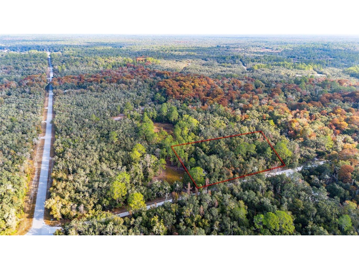 0 Rose Bloom Lot 5 Avenue Webster FL 33597 TB8450293 image11