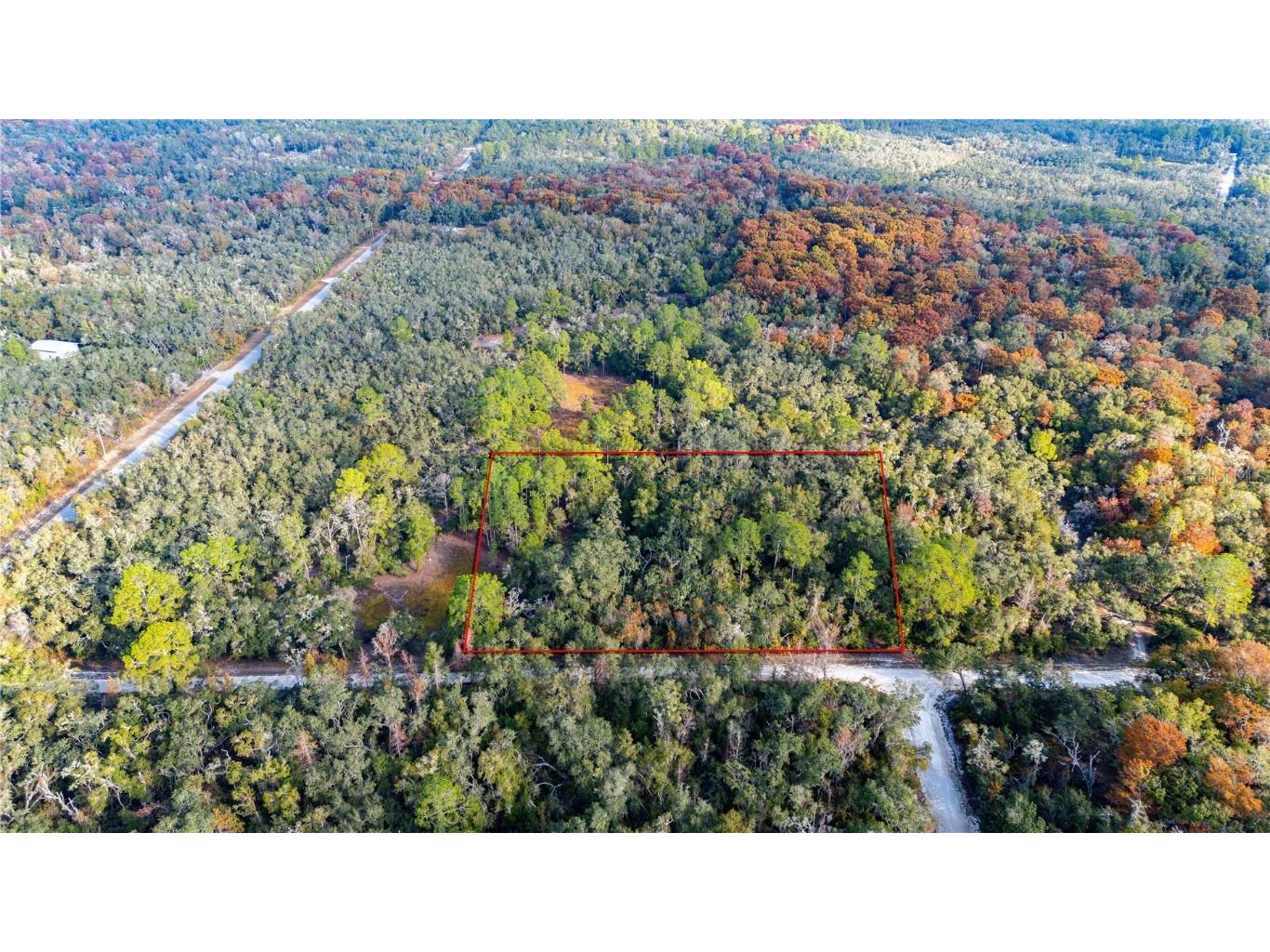 0 Rose Bloom Lot 5 Avenue Webster FL 33597 TB8450293 image12