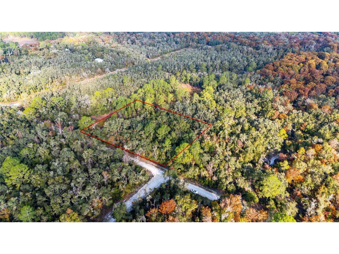 0 Rose Bloom Lot 5 Avenue Webster FL 33597 TB8450293 image13