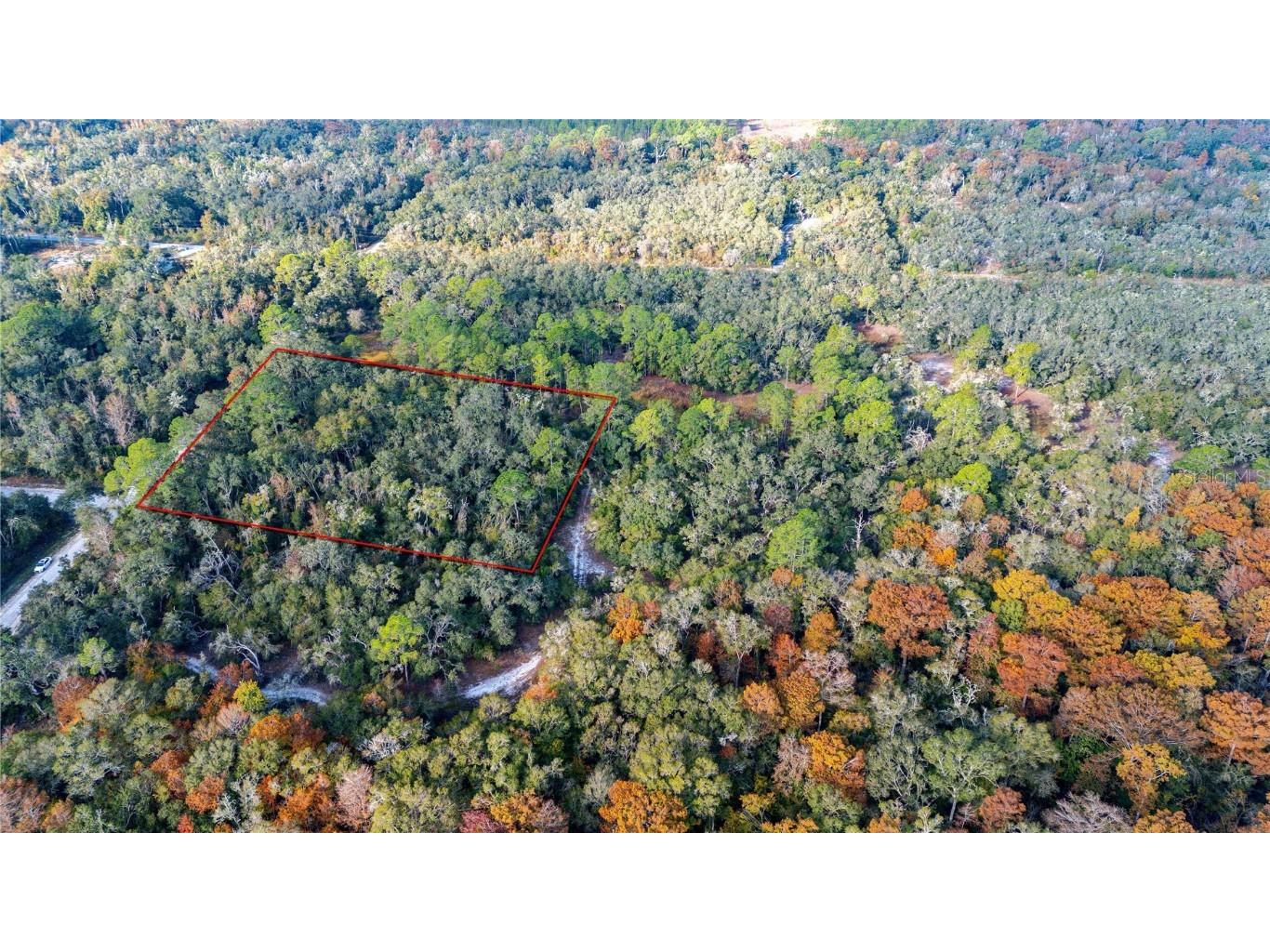 0 Rose Bloom Lot 5 Avenue Webster FL 33597 TB8450293 image2