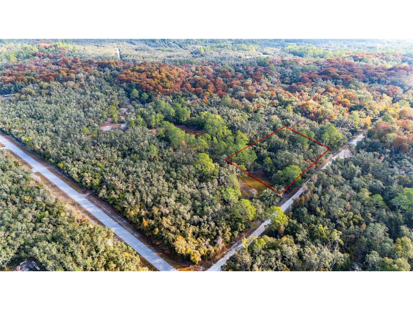 0 Rose Bloom Lot 5 Avenue Webster FL 33597 TB8450293 image3