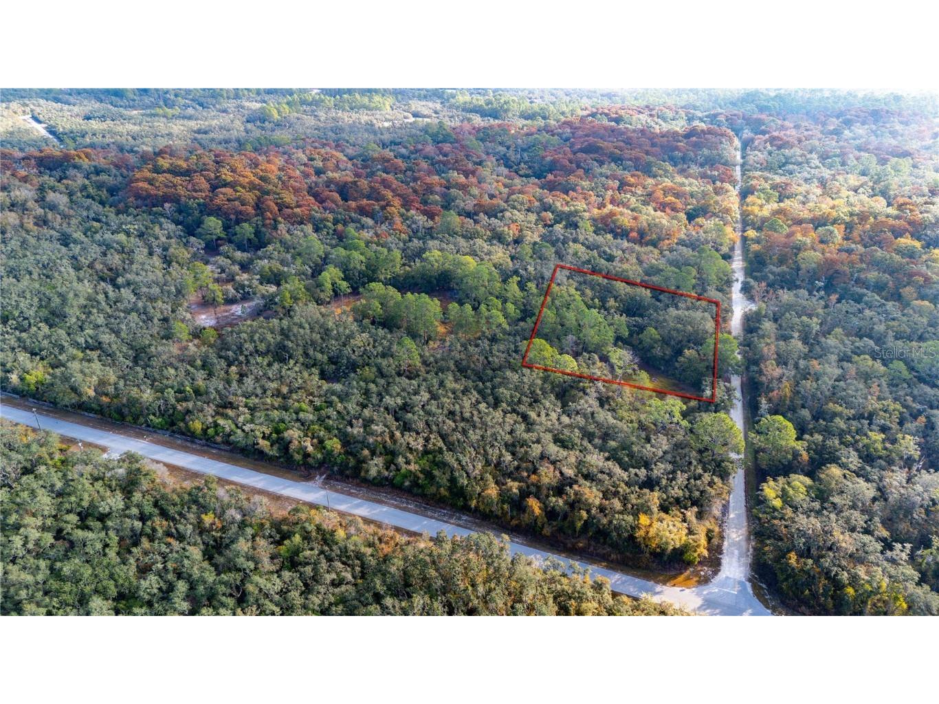 0 Rose Bloom Lot 5 Avenue Webster FL 33597 TB8450293 image4