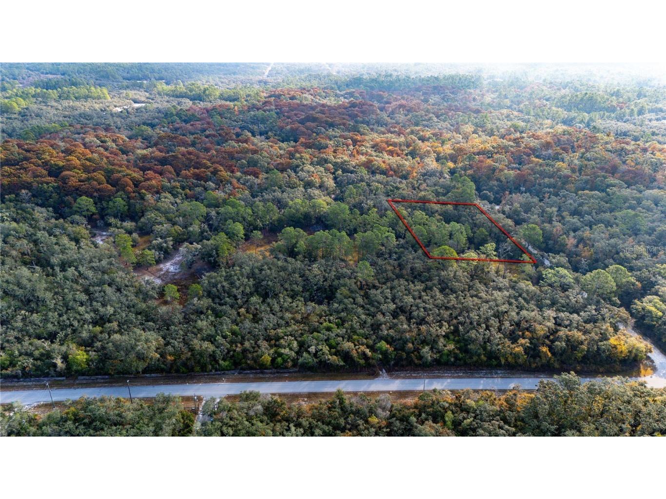 0 Rose Bloom Lot 5 Avenue Webster FL 33597 TB8450293 image5