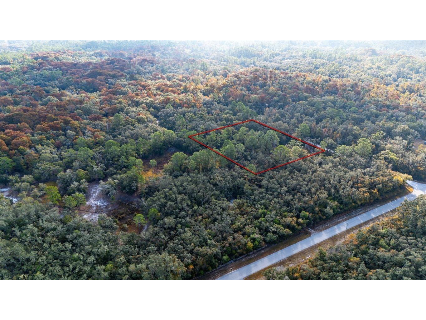 0 Rose Bloom Lot 5 Avenue Webster FL 33597 TB8450293 image6