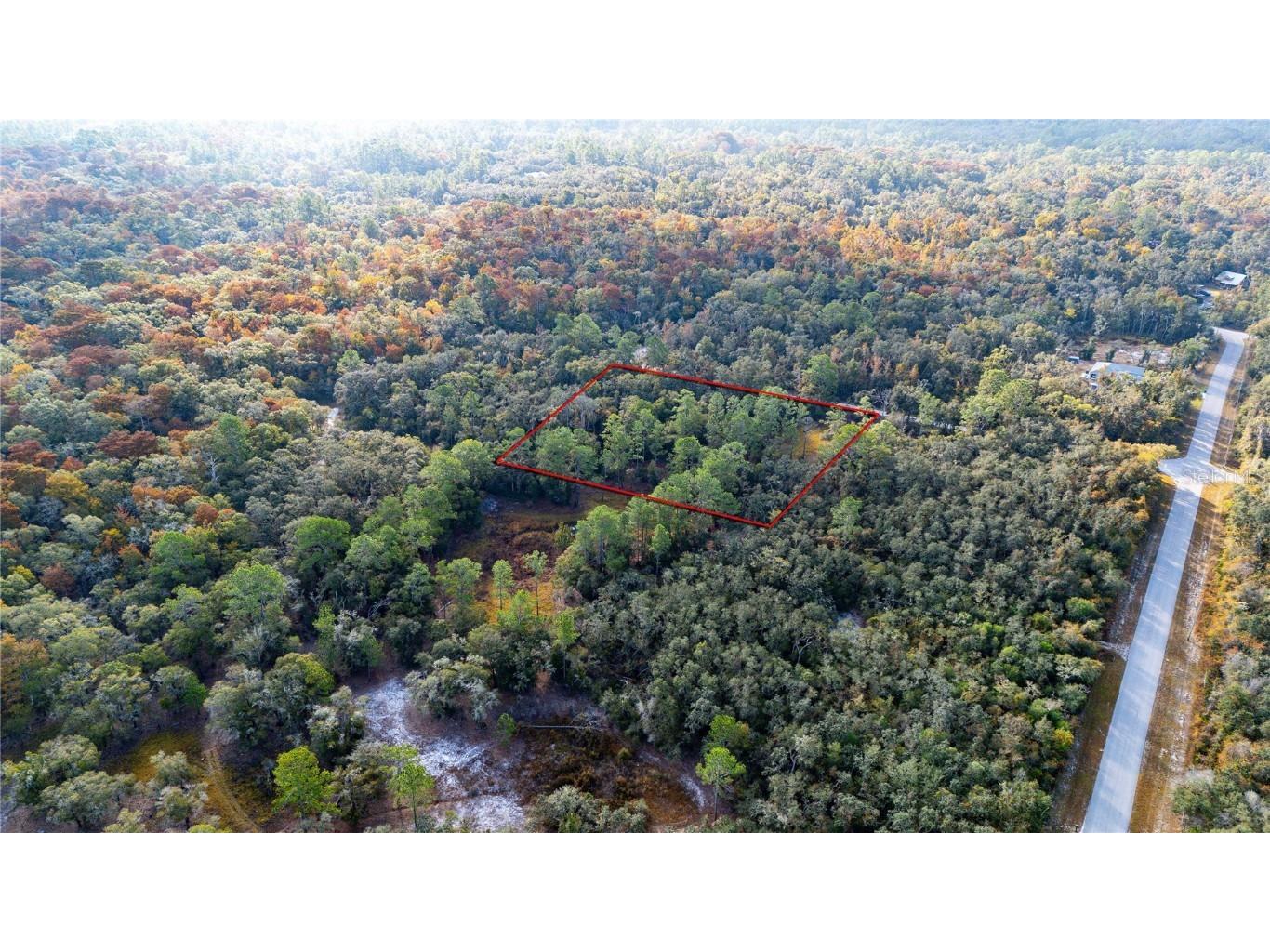 0 Rose Bloom Lot 5 Avenue Webster FL 33597 TB8450293 image7