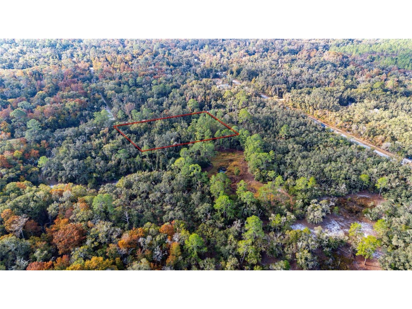 0 Rose Bloom Lot 5 Avenue Webster FL 33597 TB8450293 image8