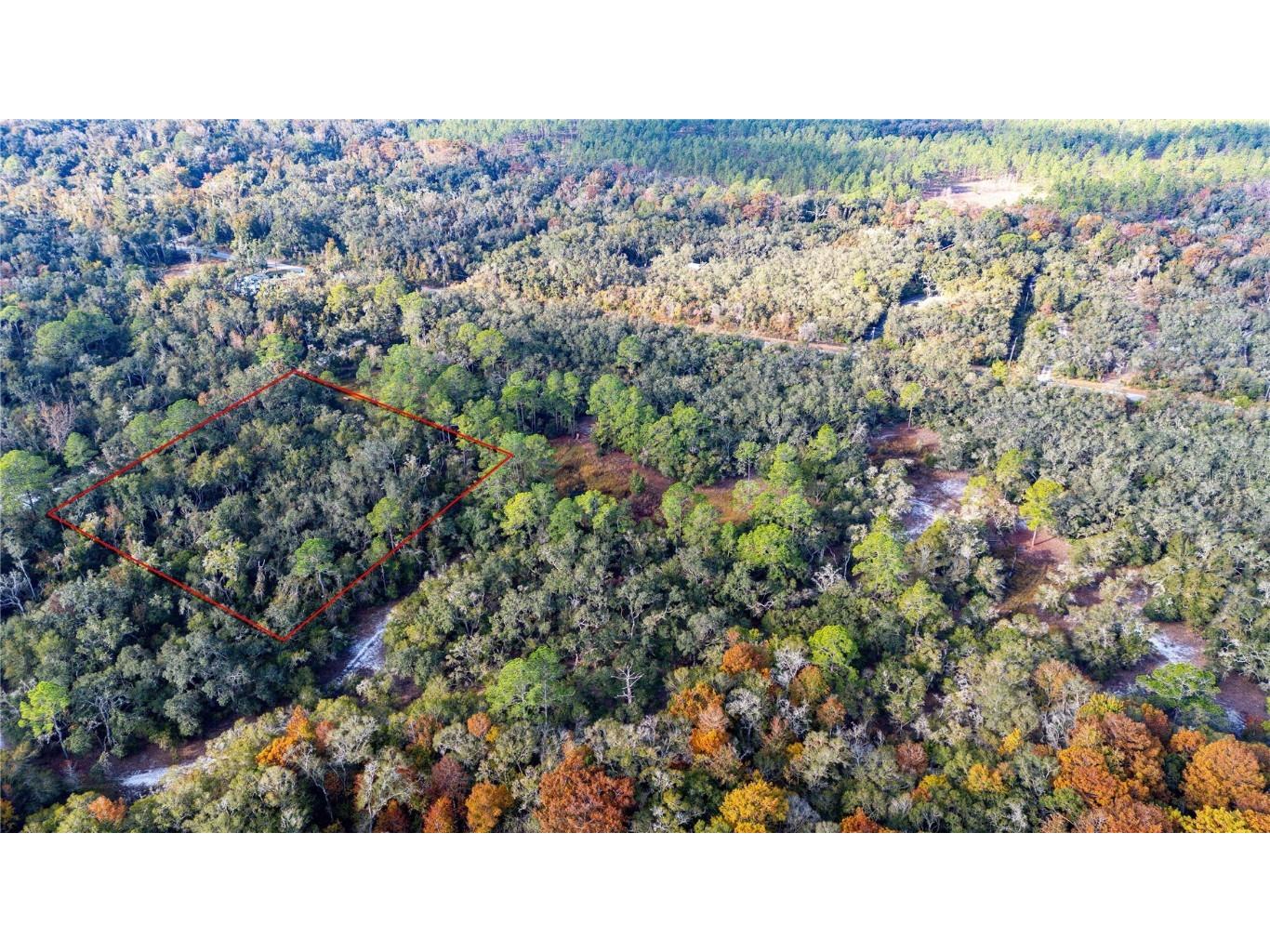 0 Rose Bloom Lot 5 Avenue Webster FL 33597 TB8450293 image9