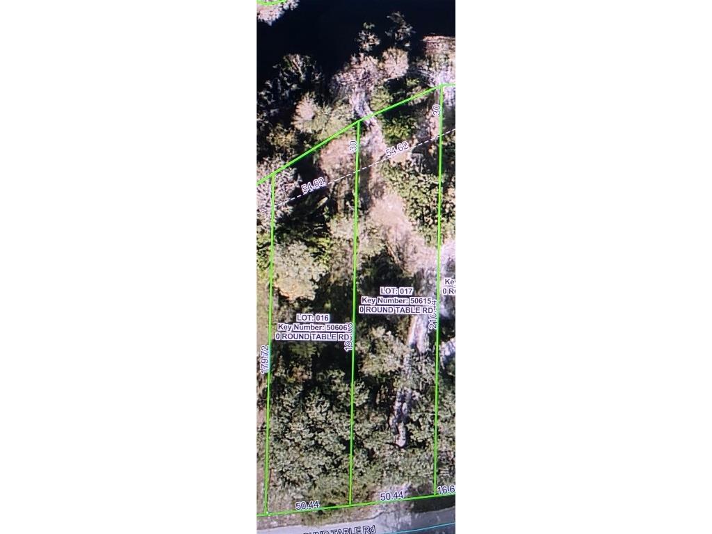 0 Round Table Road Dade City FL 33523 - WITHLACOOCHEE RIVER TB8452201 image2