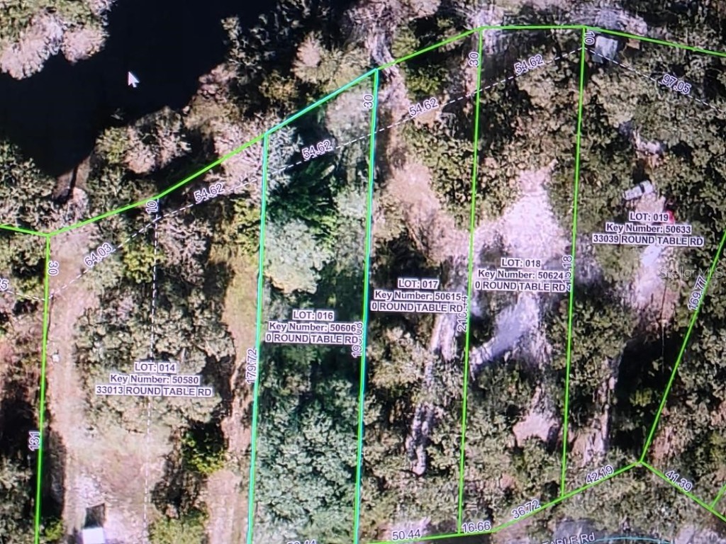 0 Round Table Road Dade City FL 33523 - WITHLACOOCHEE RIVER TB8452201 image3