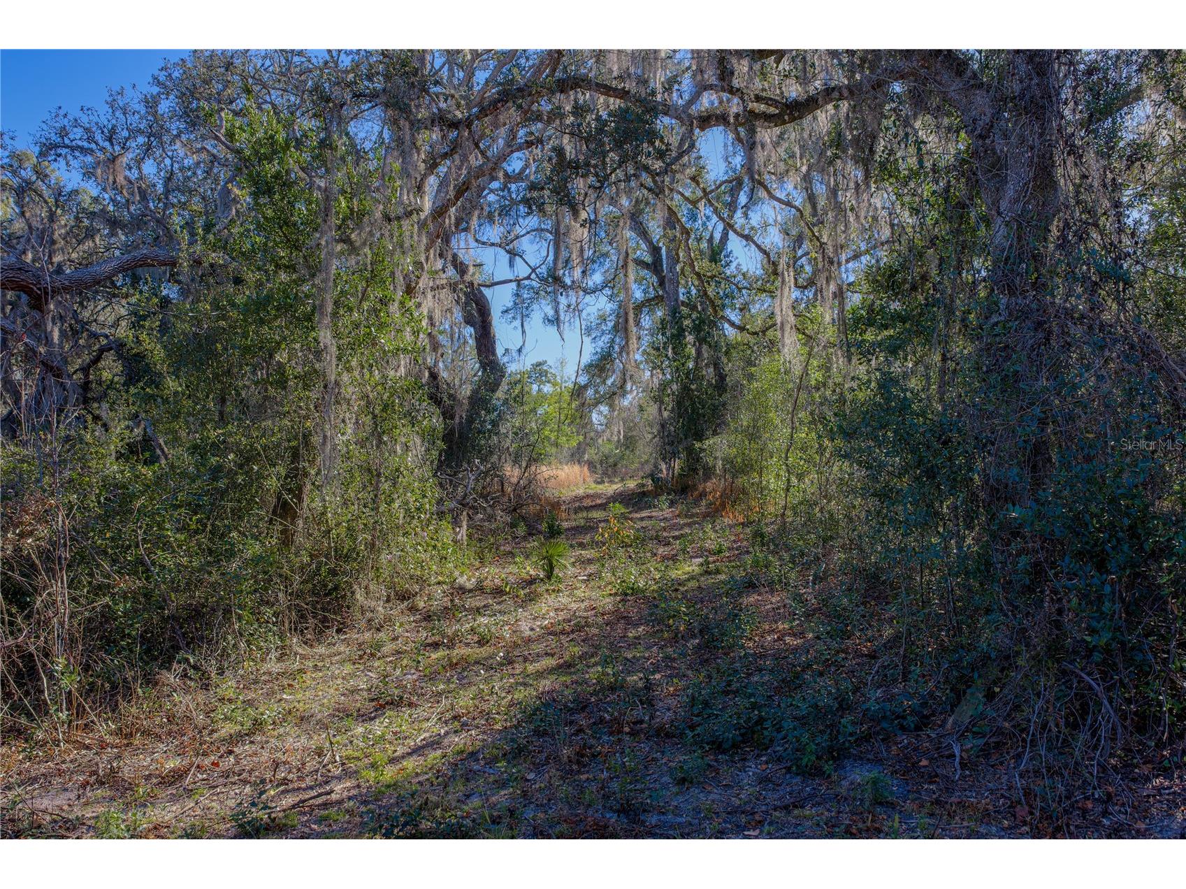 0 Rowntree Drive Dade City FL 33523 TB8471994 image10