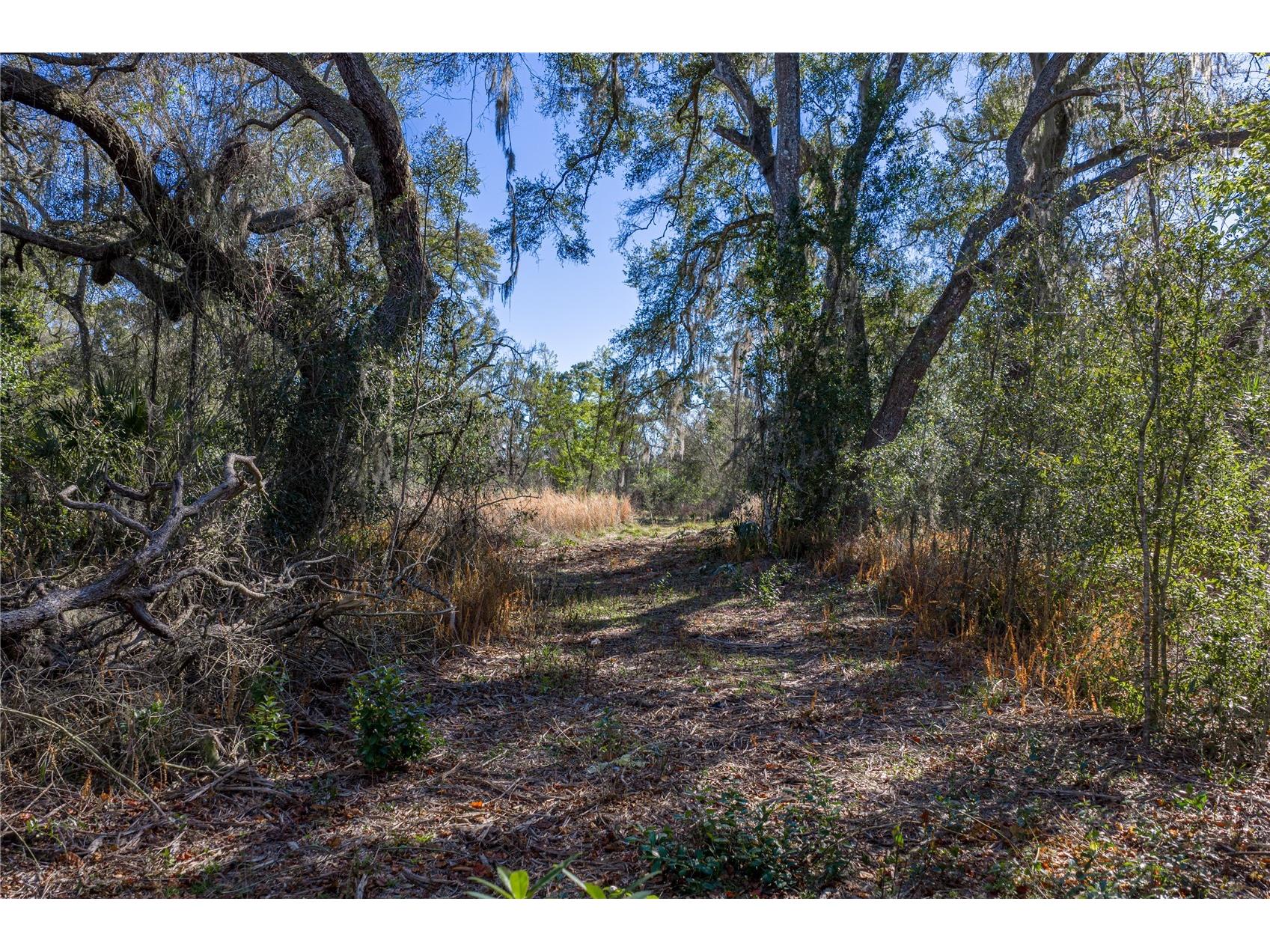 0 Rowntree Drive Dade City FL 33523 TB8471994 image11