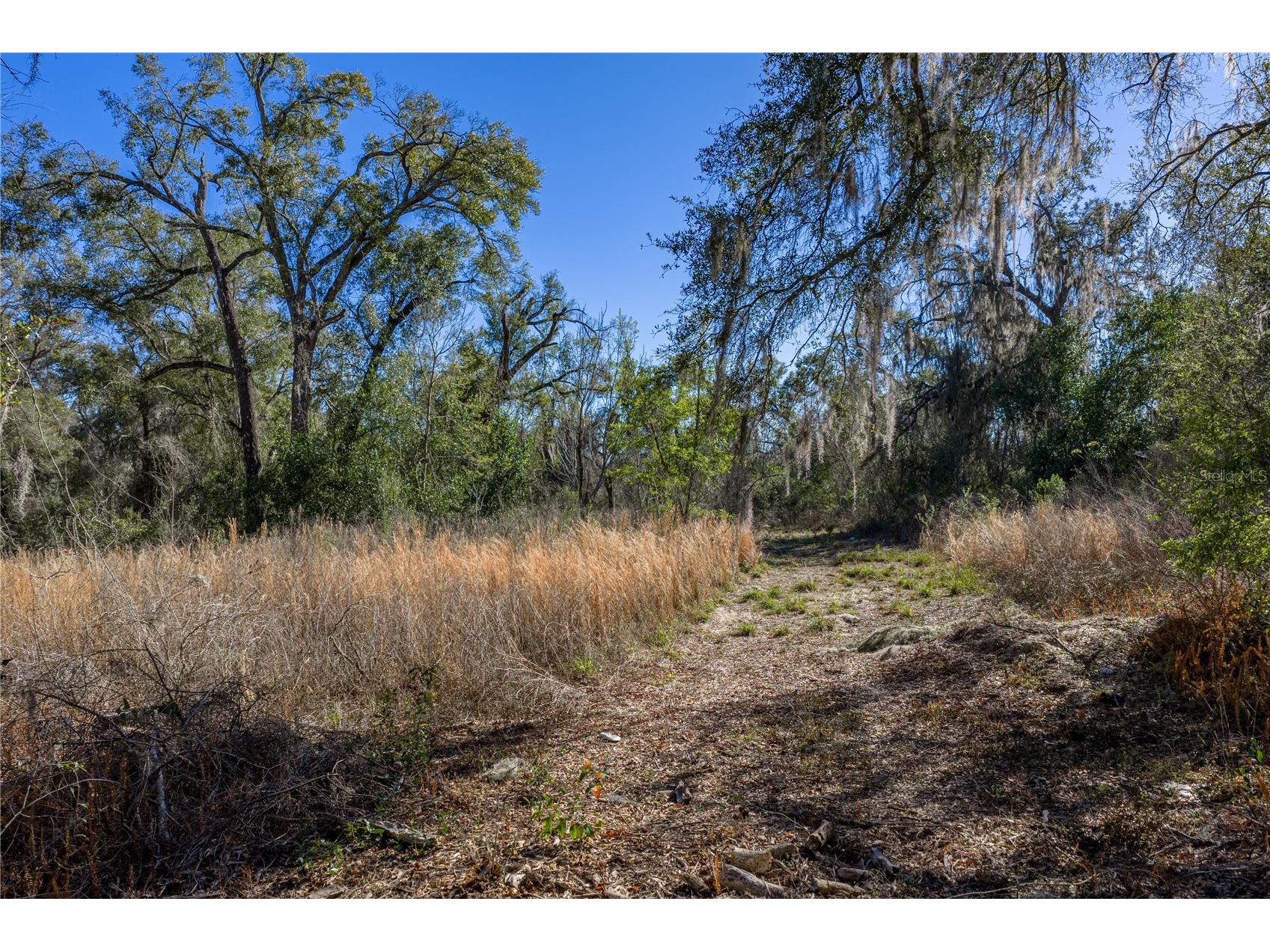 0 Rowntree Drive Dade City FL 33523 TB8471994 image12