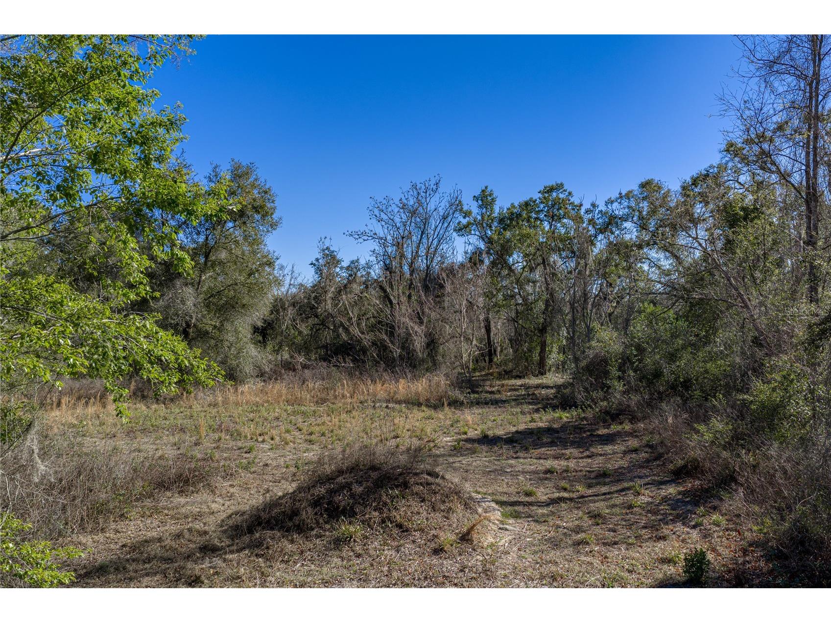 0 Rowntree Drive Dade City FL 33523 TB8471994 image13