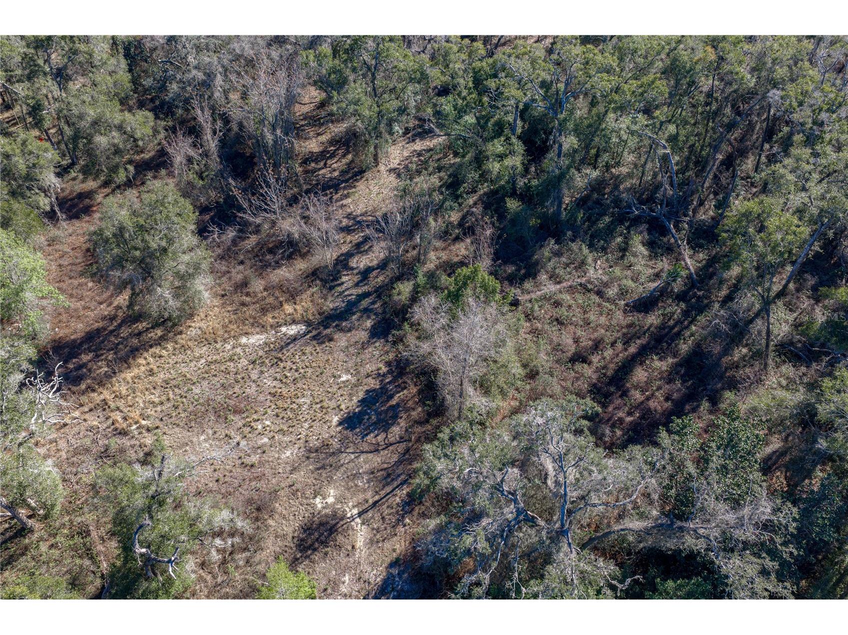 0 Rowntree Drive Dade City FL 33523 TB8471994 image14