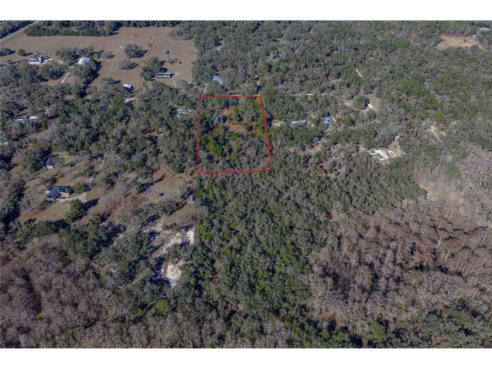 0 Rowntree Drive Dade City FL 33523 TB8471994 image3