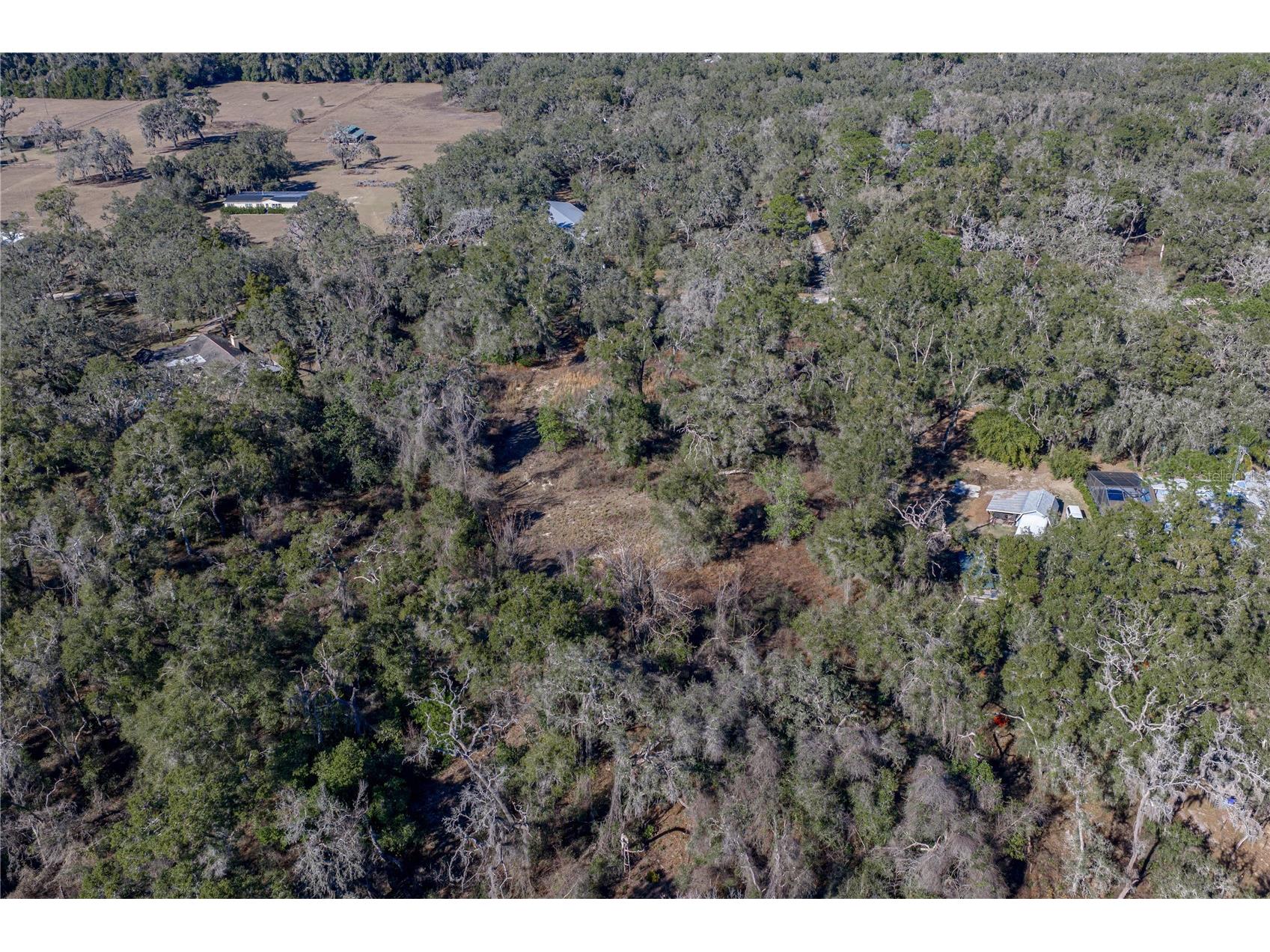 0 Rowntree Drive Dade City FL 33523 TB8471994 image7