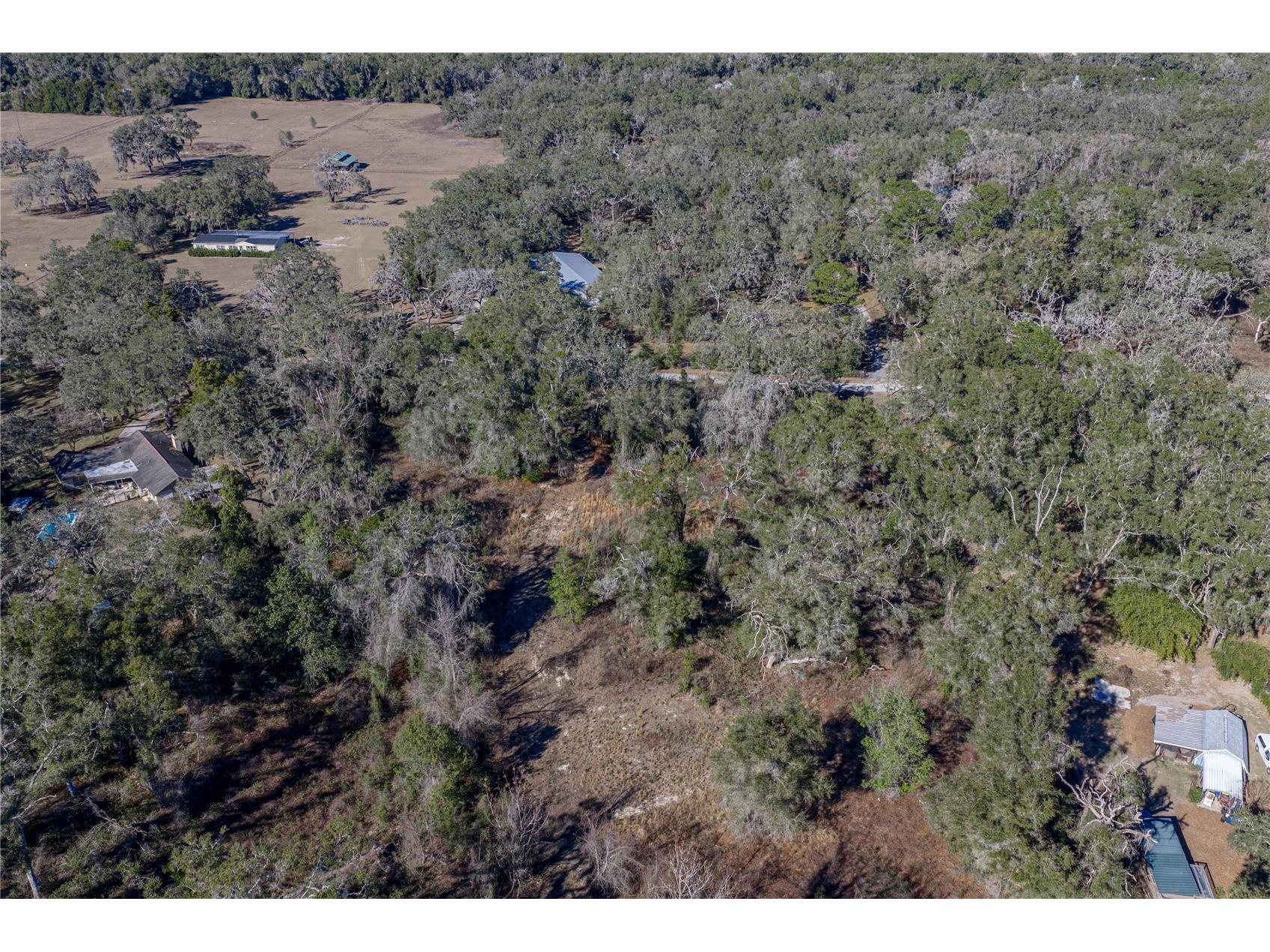 0 Rowntree Drive Dade City FL 33523 TB8471994 image8