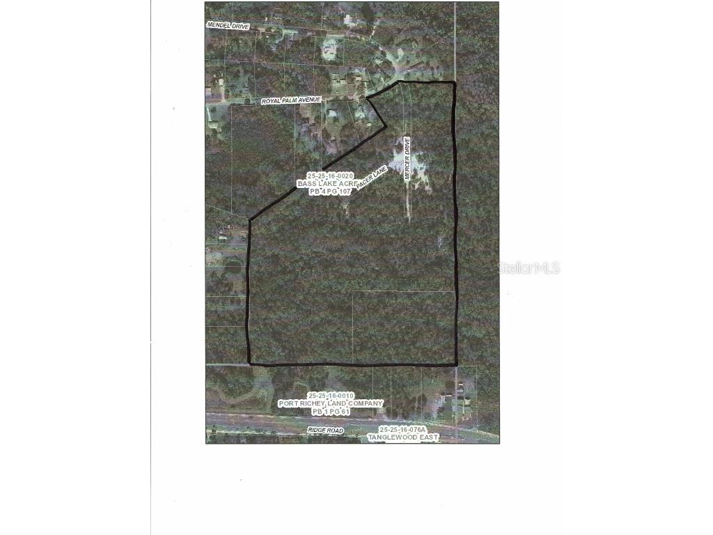 0 Royal Palm Ave New Port Richey FL 34654 W7858646 image1