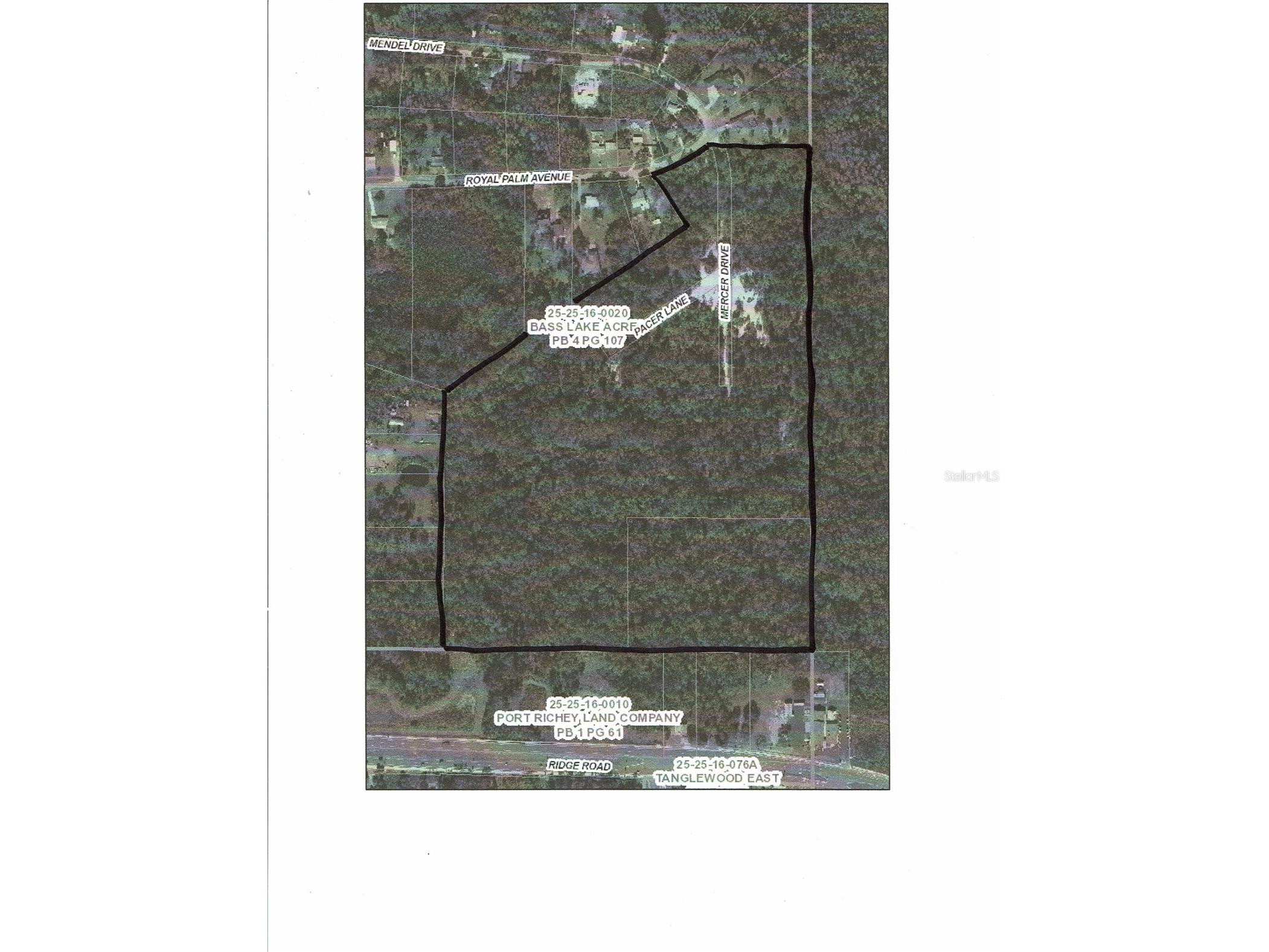 0 Royal Palm Ave New Port Richey FL 34654 W7884651 image1