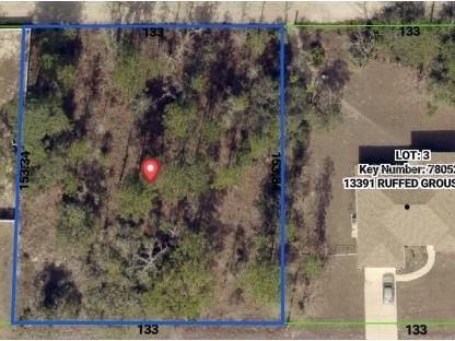 0 Ruffed Grouse Road Weeki Wachee FL 34614 OM725771 image4