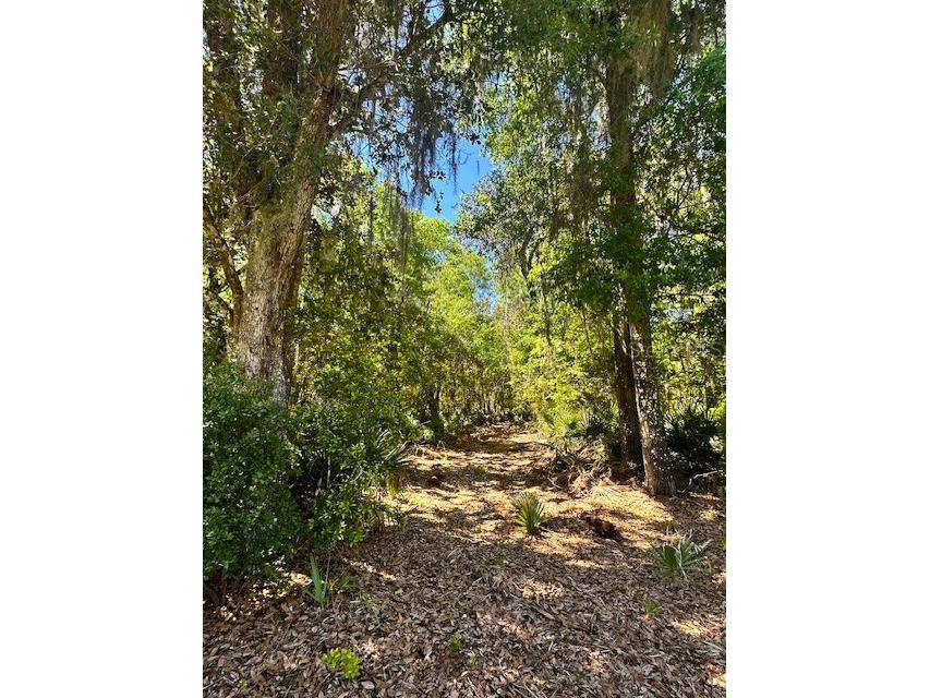 0 S County Road 325 Cross Creek FL 32640 OM675300 image1