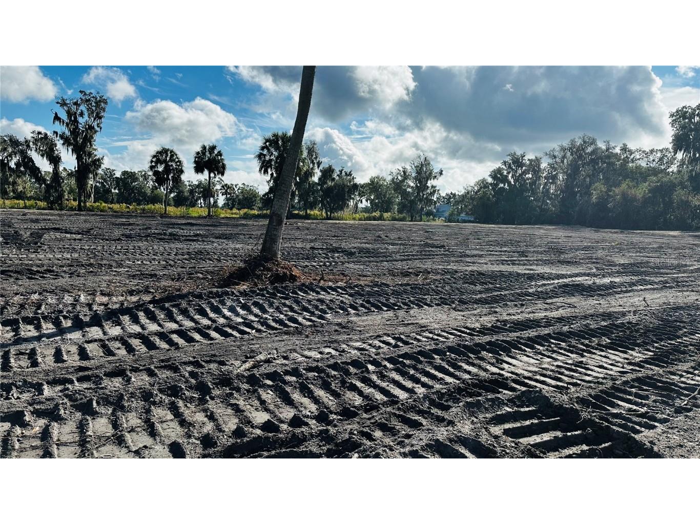 0 S County Road 39 #LOT 4 Lithia FL 33547 T3510671 image1