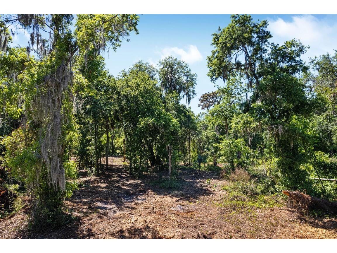 0 S County Road 39 #LOT 3 Lithia FL 33547 T3513455 image1
