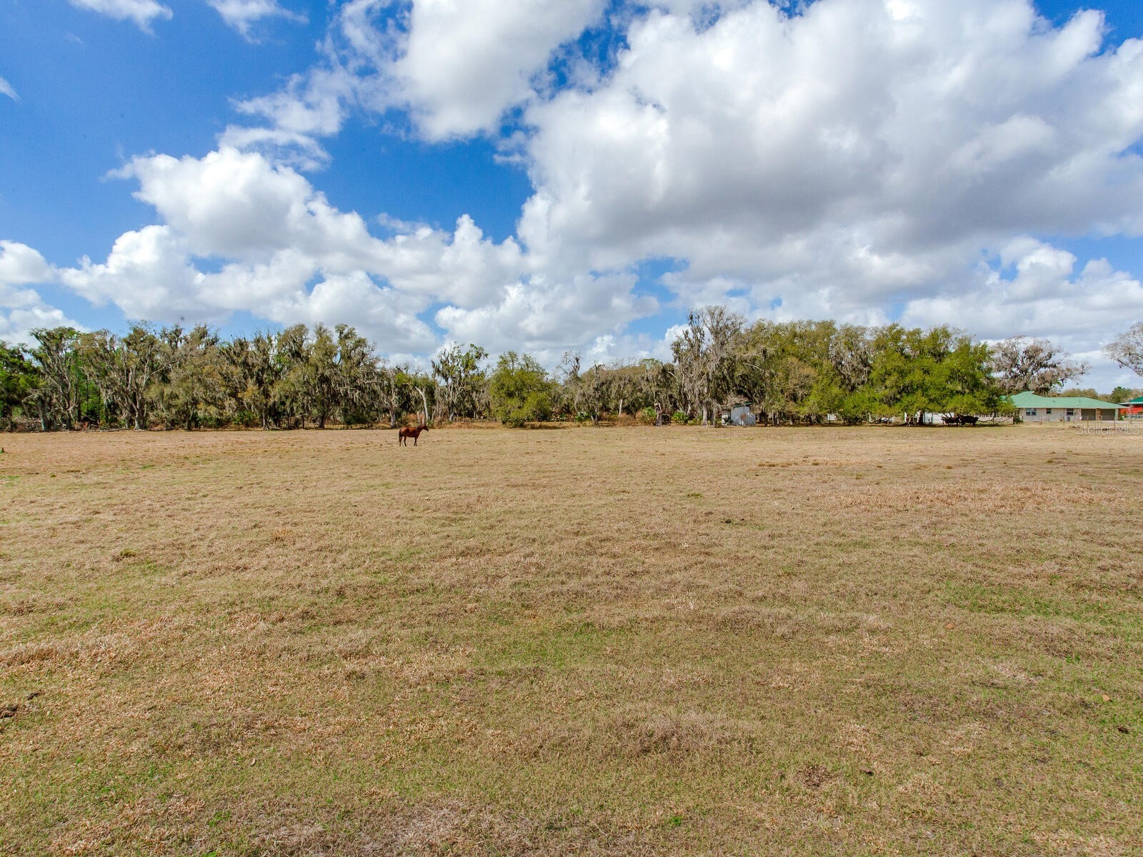 0 S Cr 39 Lithia FL 33547 TB8486859 image2