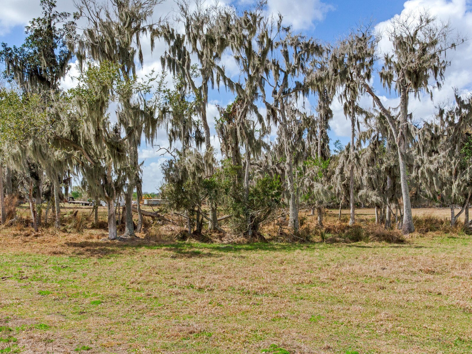0 S Cr 39 Lithia FL 33547 TB8486859 image3