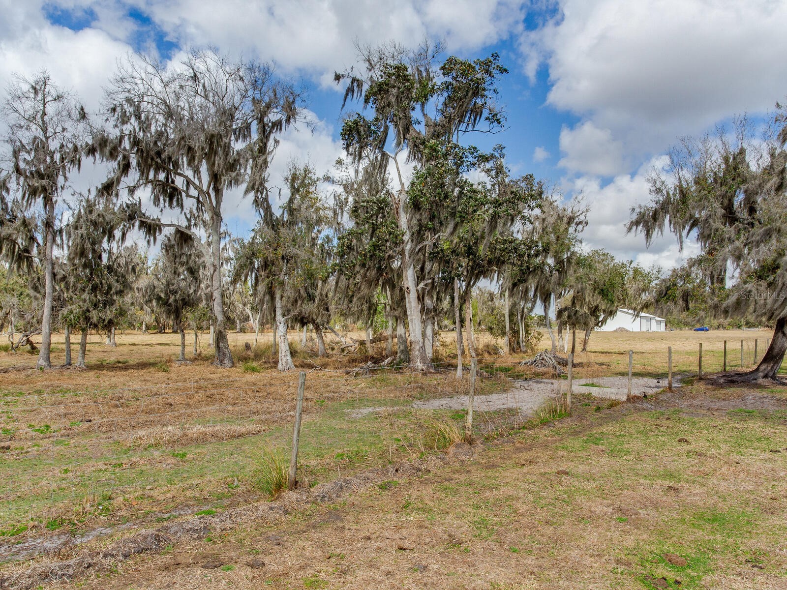 0 S Cr 39 Lithia FL 33547 TB8486859 image4