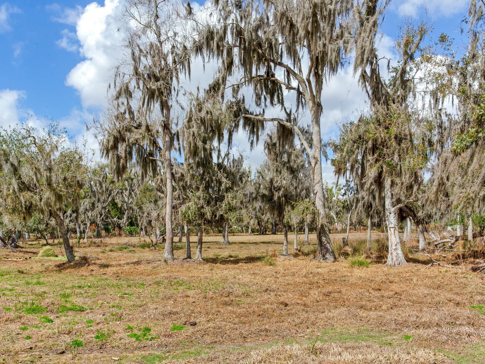 0 S Cr 39 Lithia FL 33547 TB8486859 image5