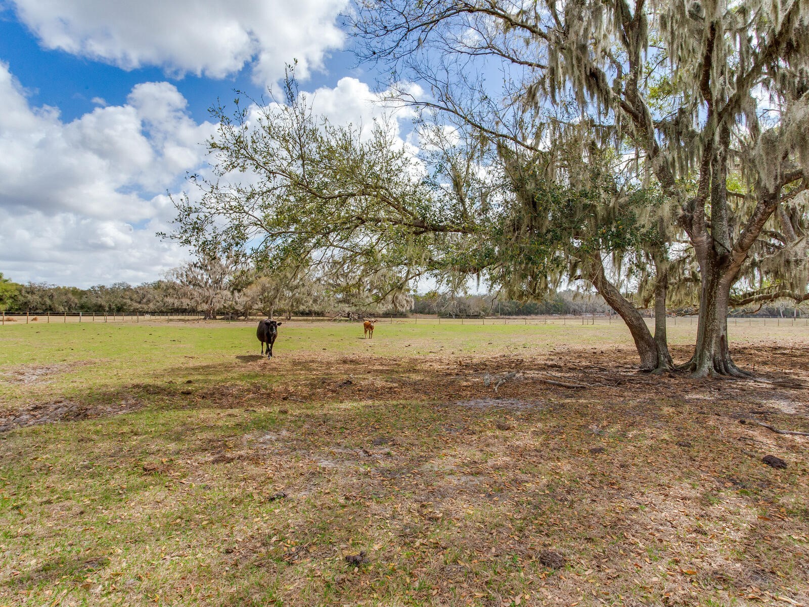 0 S Cr 39 Lithia FL 33547 TB8486862 image11