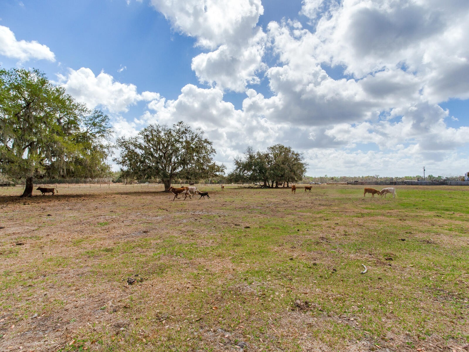 0 S Cr 39 Lithia FL 33547 TB8486862 image12