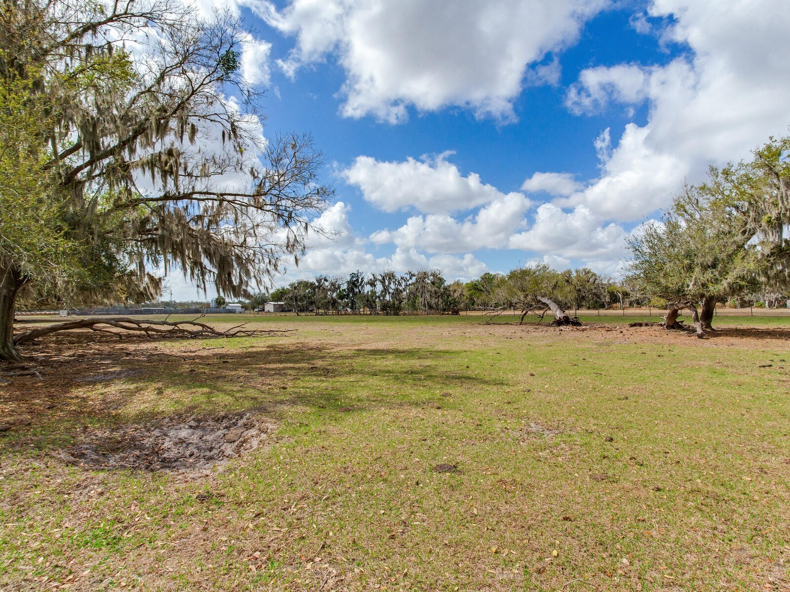 0 S Cr 39 Lithia FL 33547 TB8486862 image7