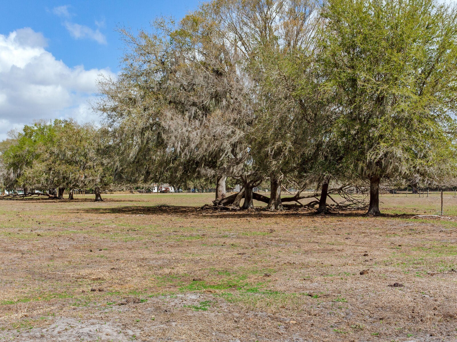 0 S Cr 39 Lithia FL 33547 TB8486864 image10