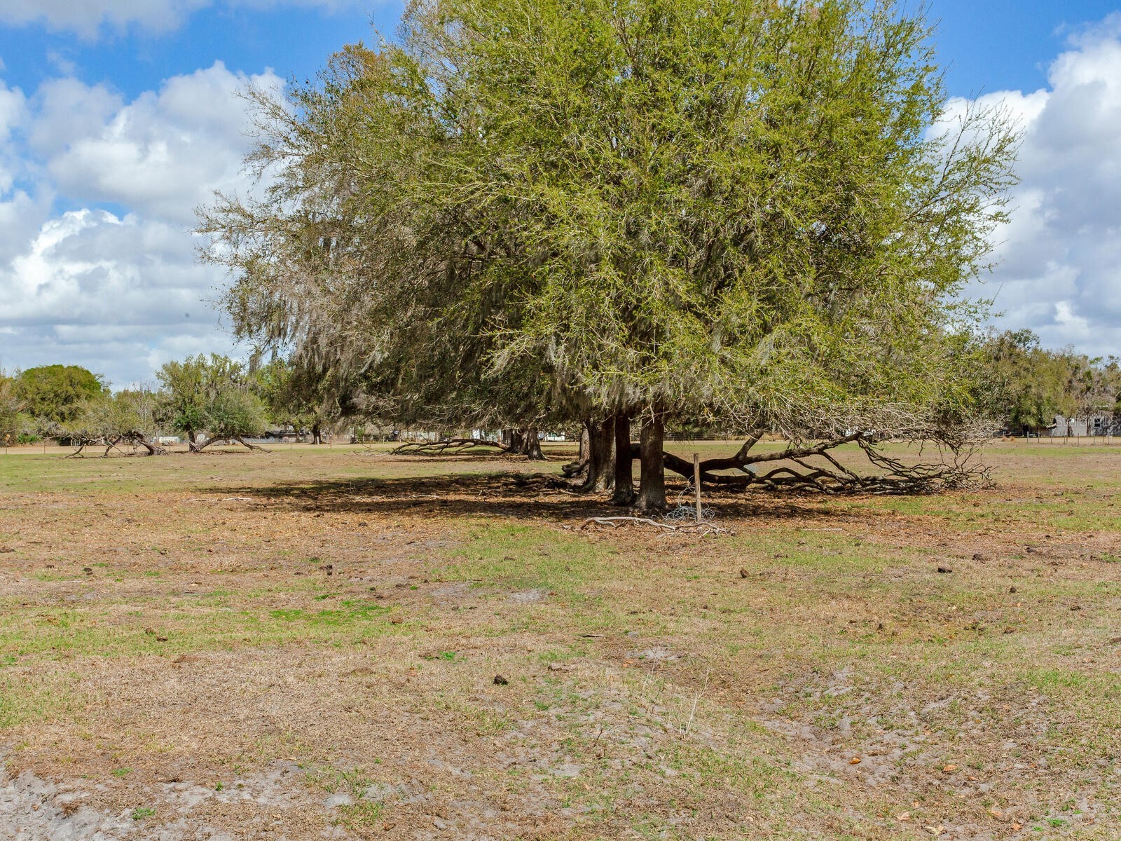 0 S Cr 39 Lithia FL 33547 TB8486864 image12