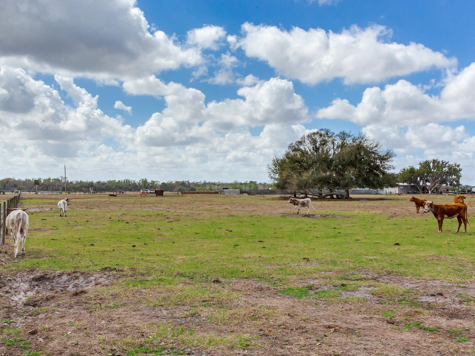 0 S Cr 39 Lithia FL 33547 TB8486864 image4