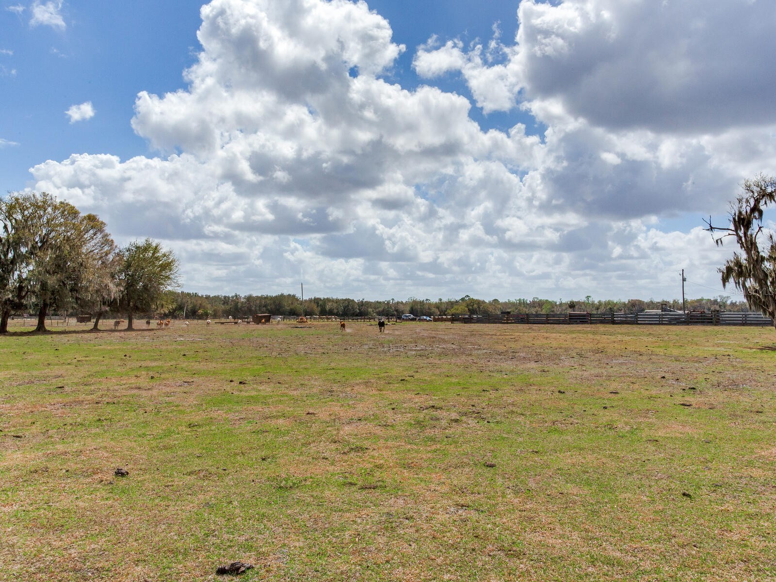 0 S Cr 39 Lithia FL 33547 TB8486864 image8