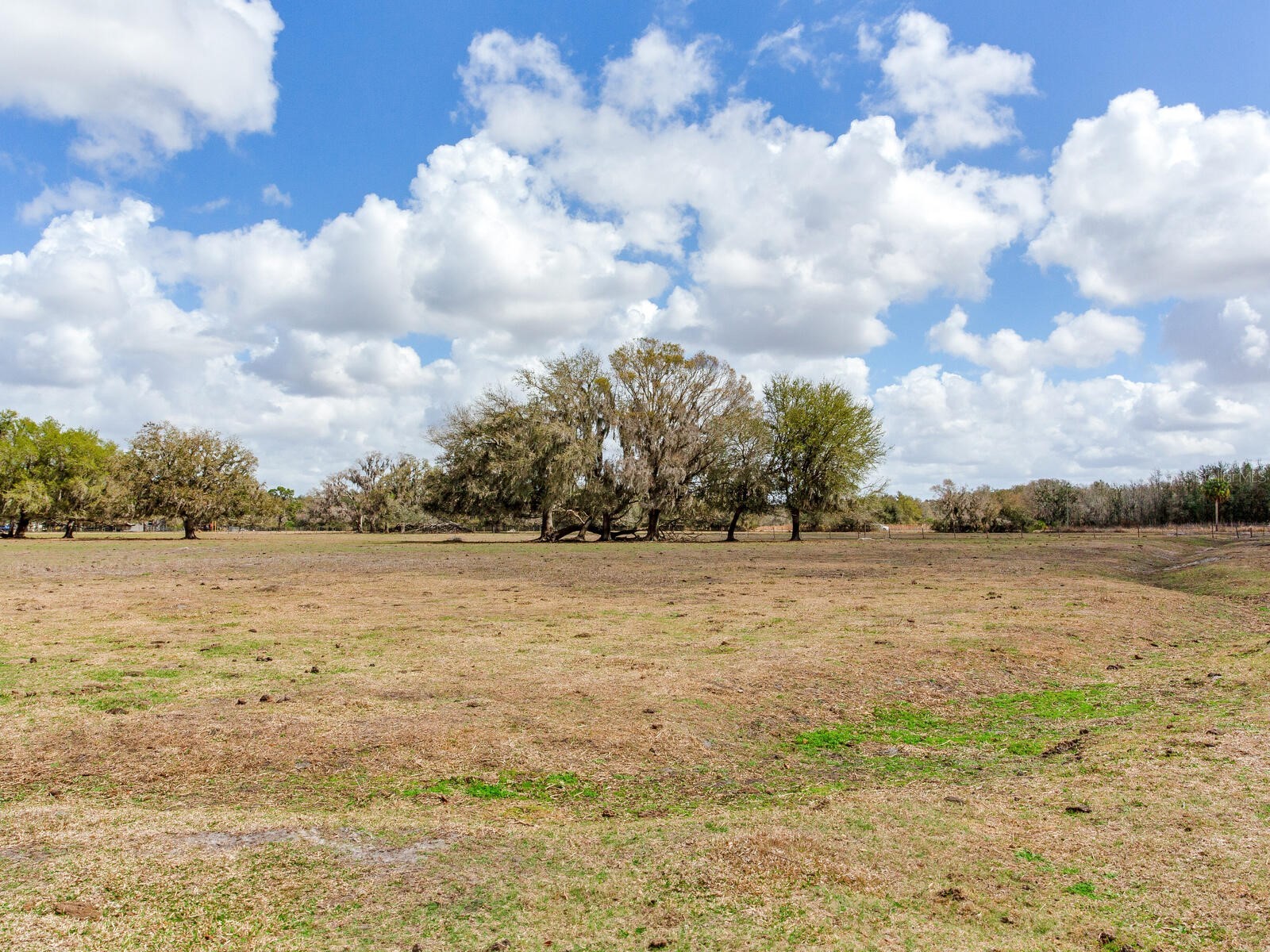 0 S Cr 39 Lithia FL 33547 TB8486864 image9